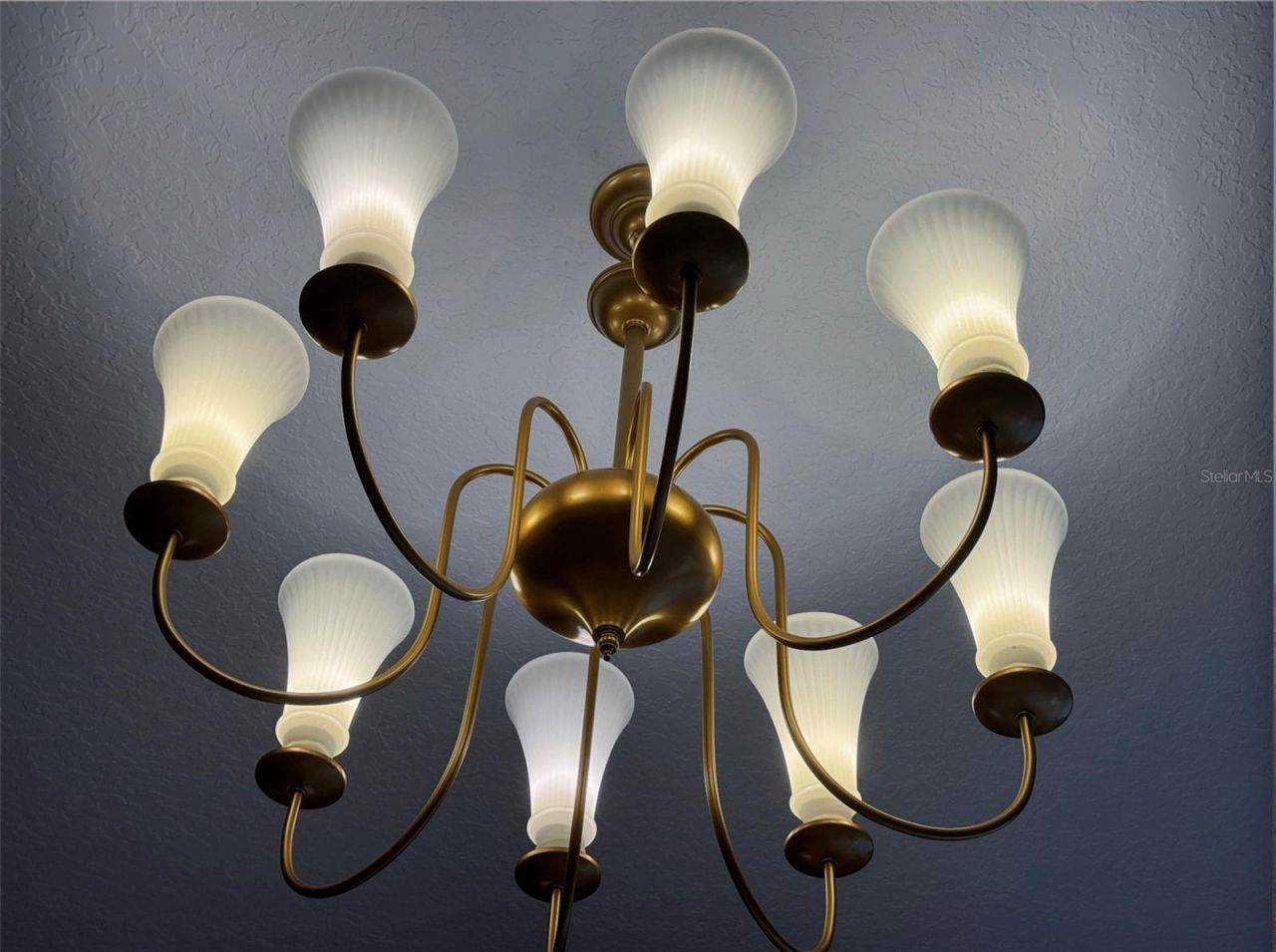 3880 Sonoma Boulevard, Kissimmee, FL 34741 Photo