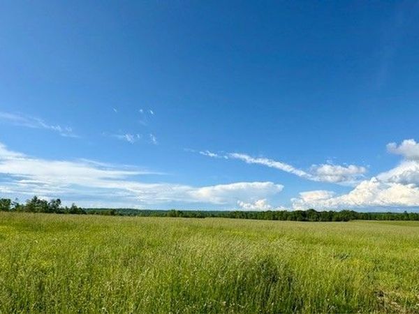 0 Topsy Rd, Waynesboro, TN 38485