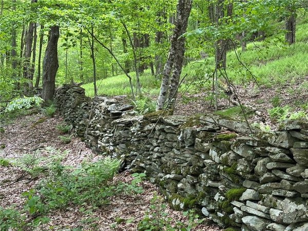 Woodland Hills Road, Andes, NY 13731