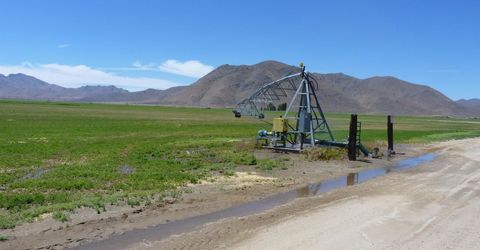 51955 Wilder Creek Road, Denio, NV 89404 Photo