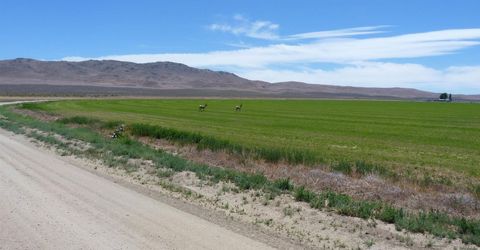 51955 Wilder Creek Road, Denio, NV 89404 Photo