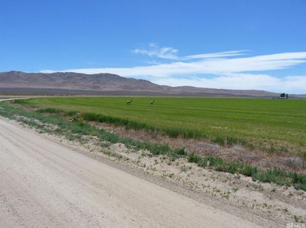51955 Wilder Creek Road, Denio, NV 89404 Photo