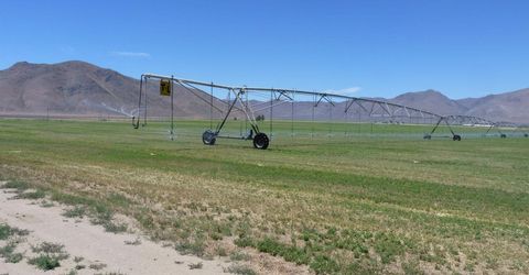 51955 Wilder Creek Road, Denio, NV 89404 Photo