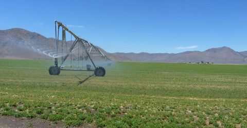 51955 Wilder Creek Road, Denio, NV 89404 Photo