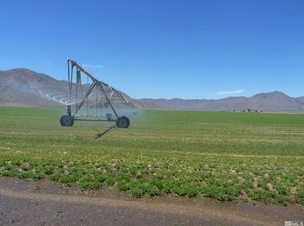 51955 Wilder Creek Road, Denio, NV 89404 Photo