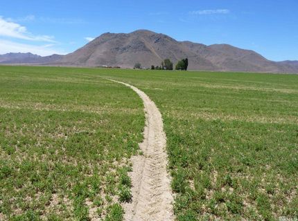 51955 Wilder Creek Road, Denio, NV 89404 Photo