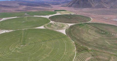 51955 Wilder Creek Road, Denio, NV 89404 Photo