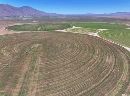 51955 Wilder Creek Road, Denio, NV 89404 Photo