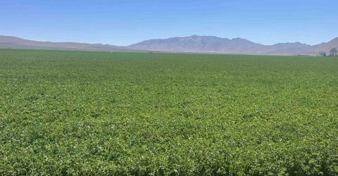 51955 Wilder Creek Road, Denio, NV 89404 Photo