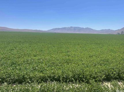 51955 Wilder Creek Road, Denio, NV 89404 Photo
