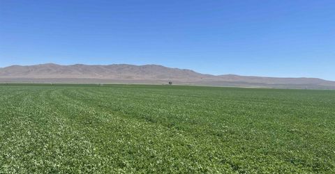 51955 Wilder Creek Road, Denio, NV 89404 Photo
