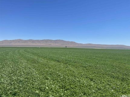 51955 Wilder Creek Road, Denio, NV 89404 Photo