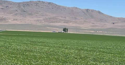 51955 Wilder Creek Road, Denio, NV 89404 Photo
