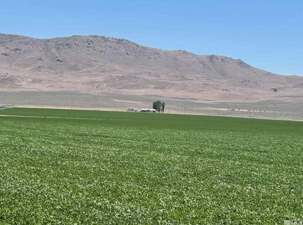 51955 Wilder Creek Road, Denio, NV 89404 Photo
