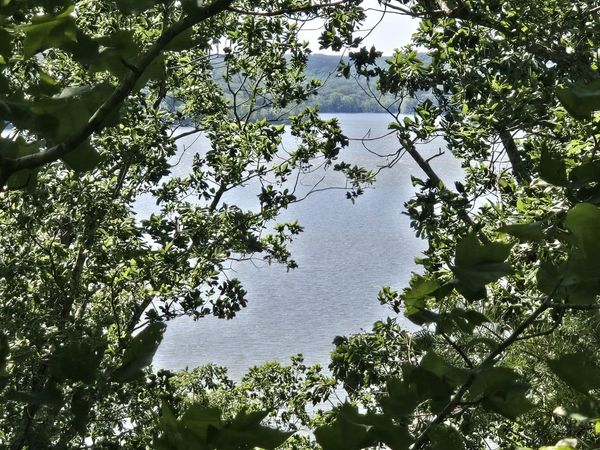 0 Sunset Ridge, Waverly, TN 37185