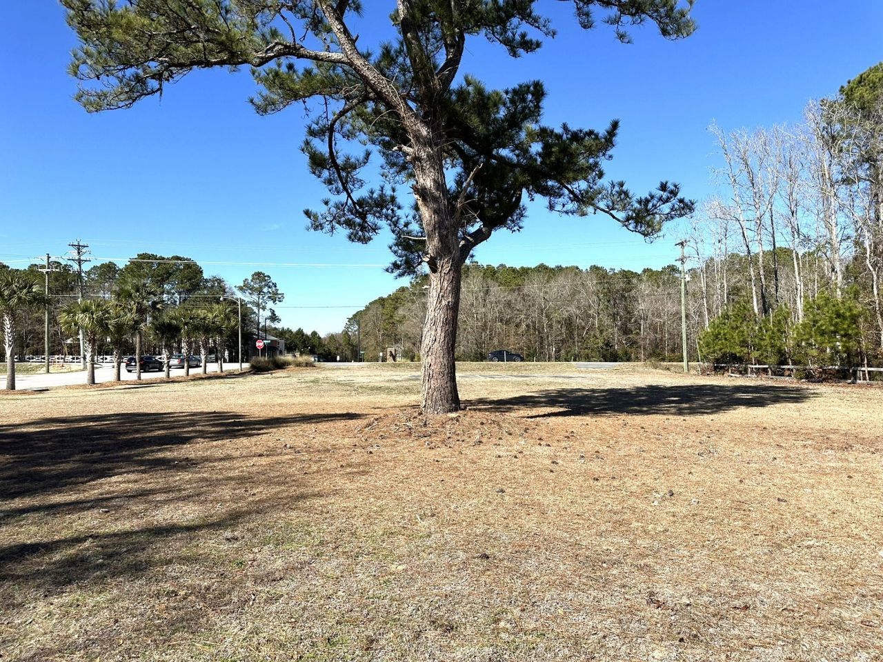 0 North Hwy 17 Photo 7