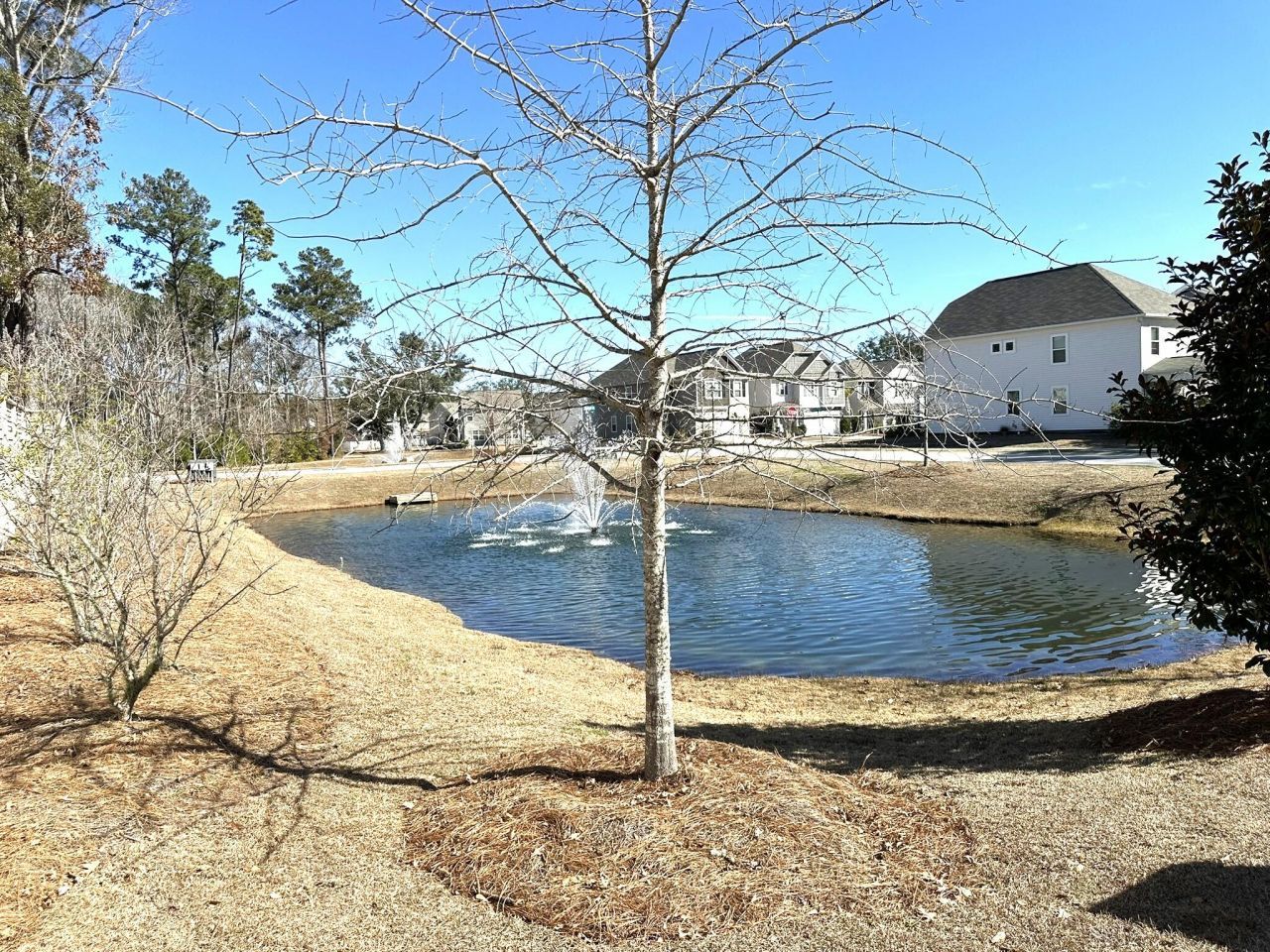 1096 Bee Hive Rd. Photo 9