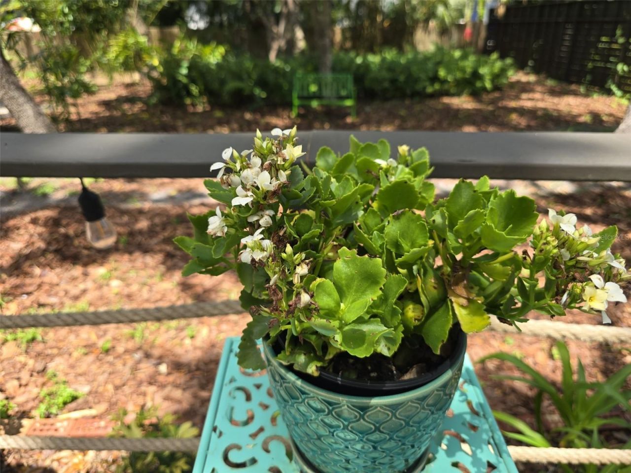 3940 Brookside Drive, Sarasota, FL 34231 Photo