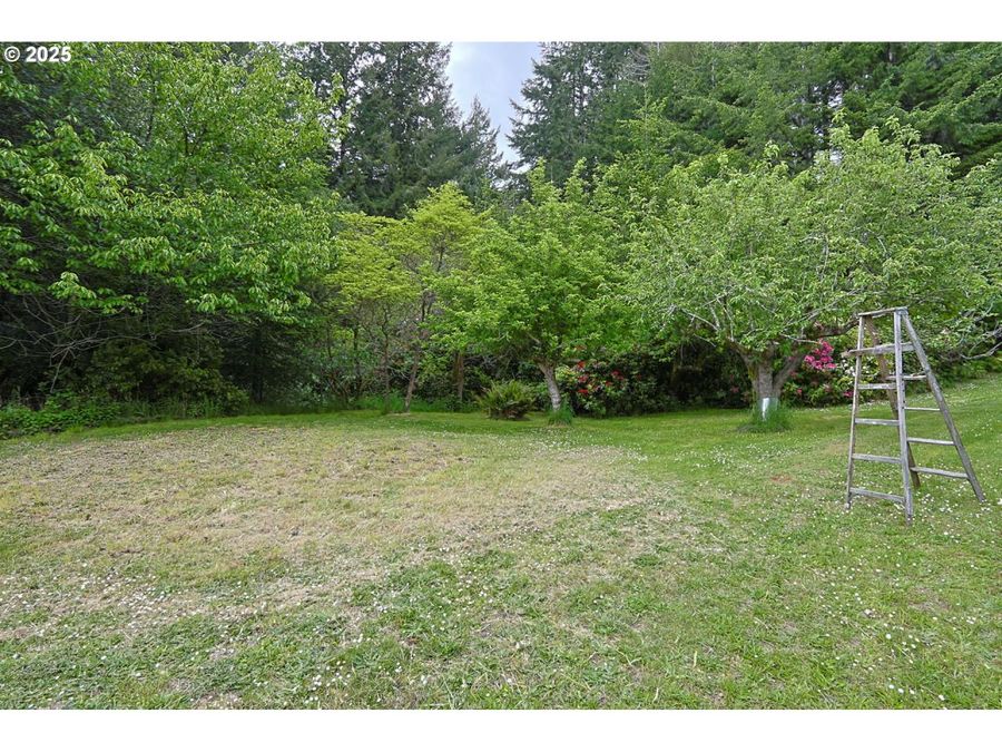 Property Image 40