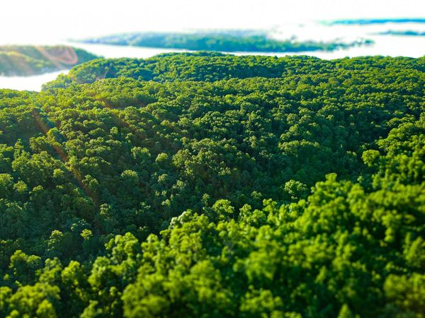 Tbd Sandy Road, Edwards, MO 65326