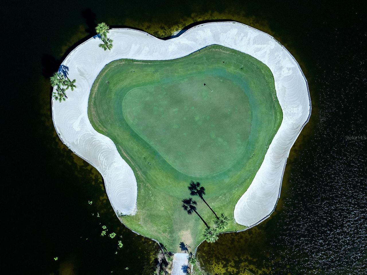 114 Southampton Place N, Unit 237, Venice, FL 34293 Photo