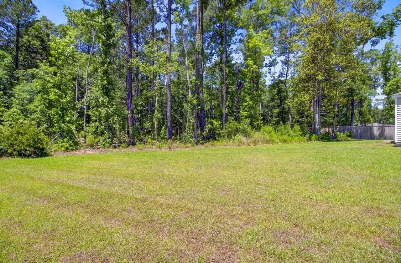 407 Spruce Ivy Street Photo 37