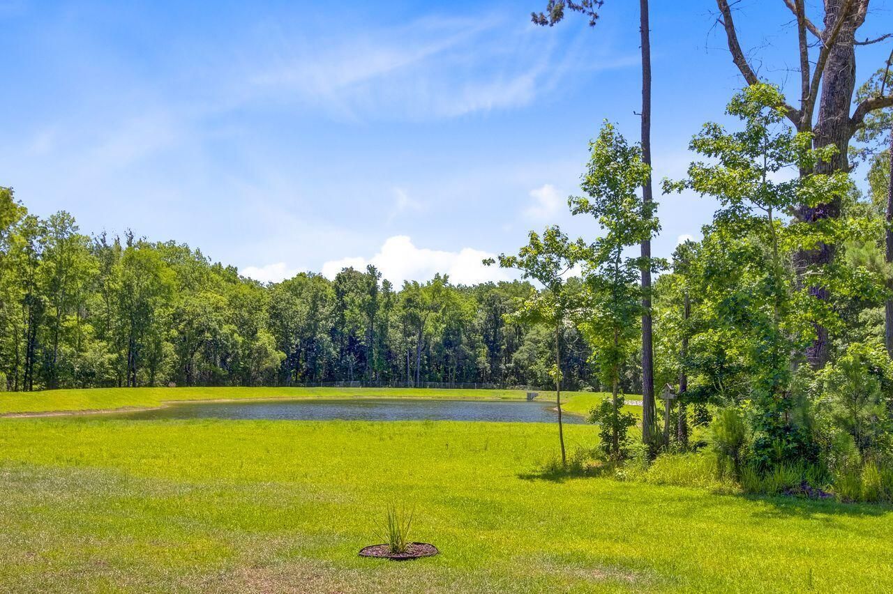 407 Spruce Ivy Street Photo 38