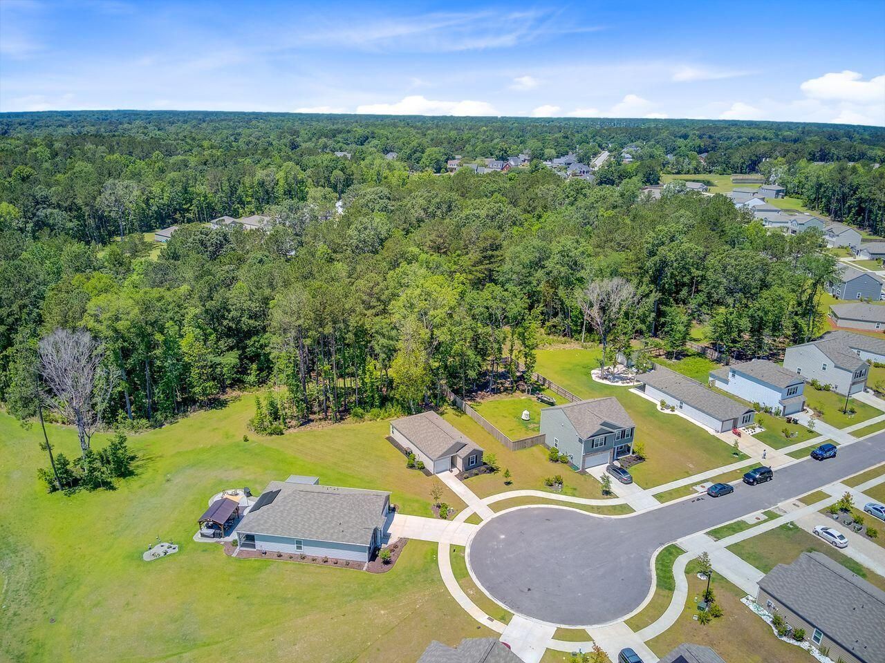 407 Spruce Ivy Street Photo 49