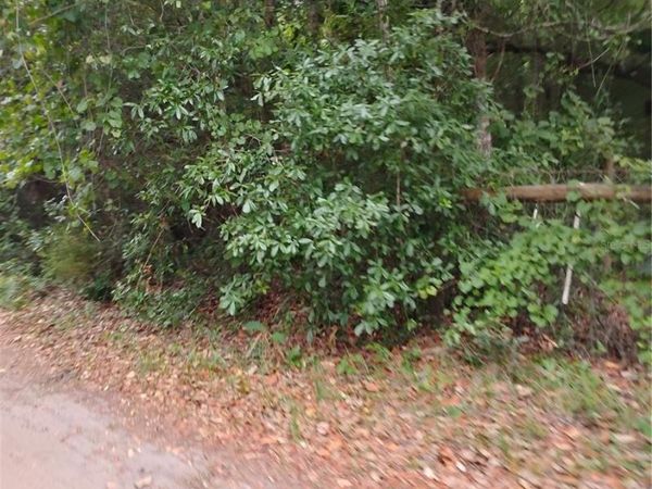 146TH PL, FORT MC COY, FL 32134