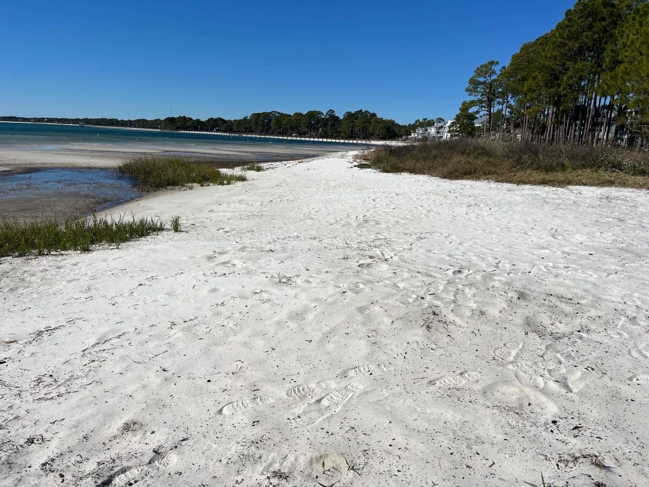 4522 St Teresa Landing, Saint Teresa, FL 32346 Photo