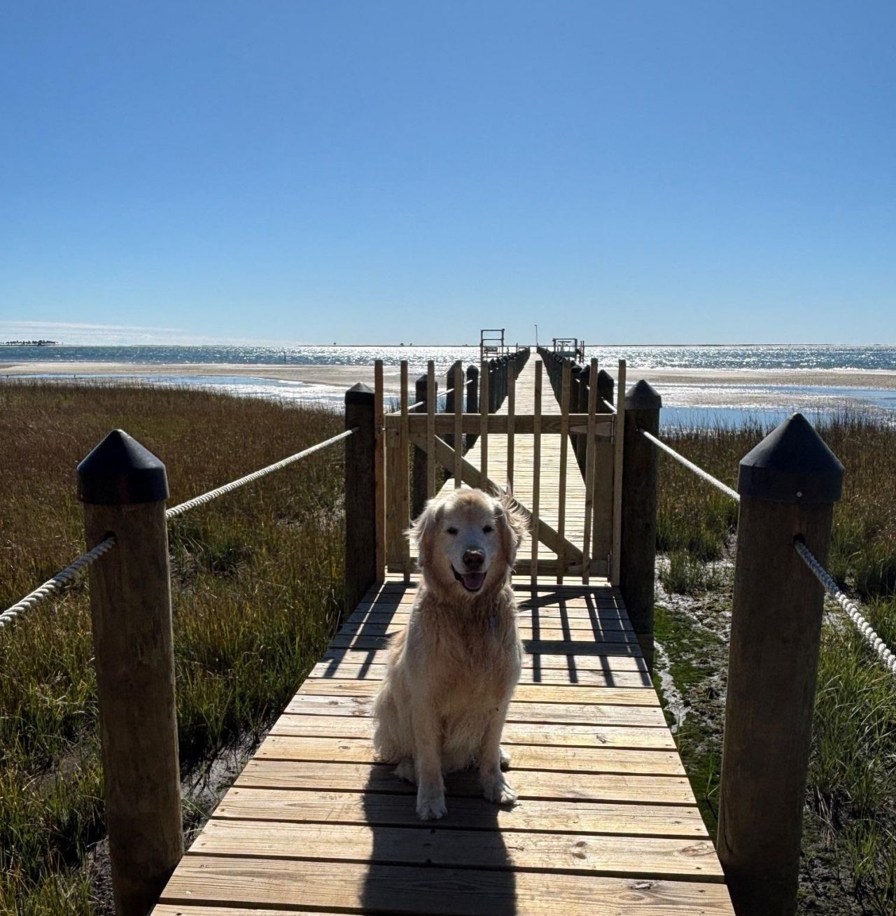 4522 St Teresa Landing, Saint Teresa, FL 32346 Photo