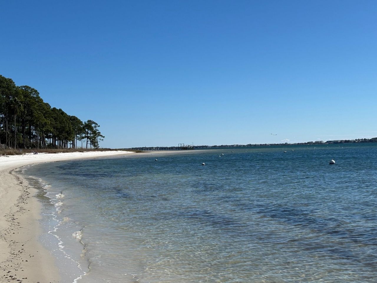 4522 St Teresa Landing, Saint Teresa, FL 32346 Photo