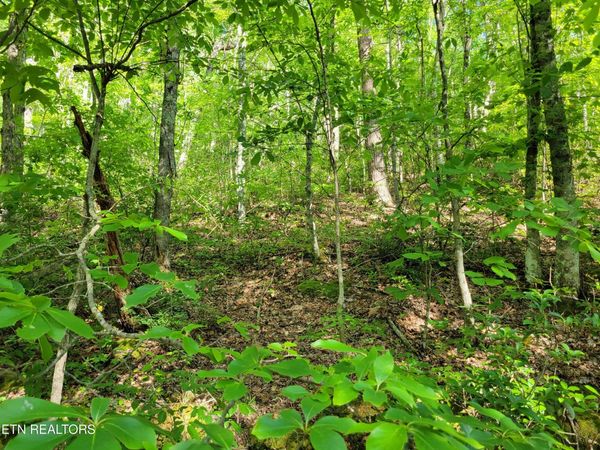 Lot 27 Black Oak Drive, Sevierville, TN 37876