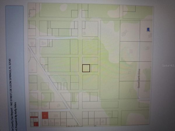 NO STREET, DE LEON SPRINGS, FL 32130