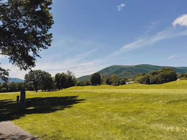 99 BLUE CHICKORY CT, Unit B10, NELLYSFORD, VA 22958