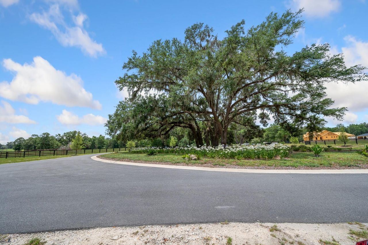 241, Newberry, FL 32669 Photo