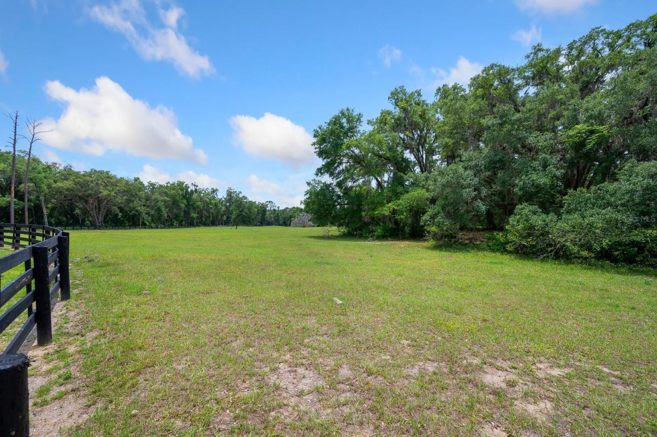 241, Newberry, FL 32669 Photo
