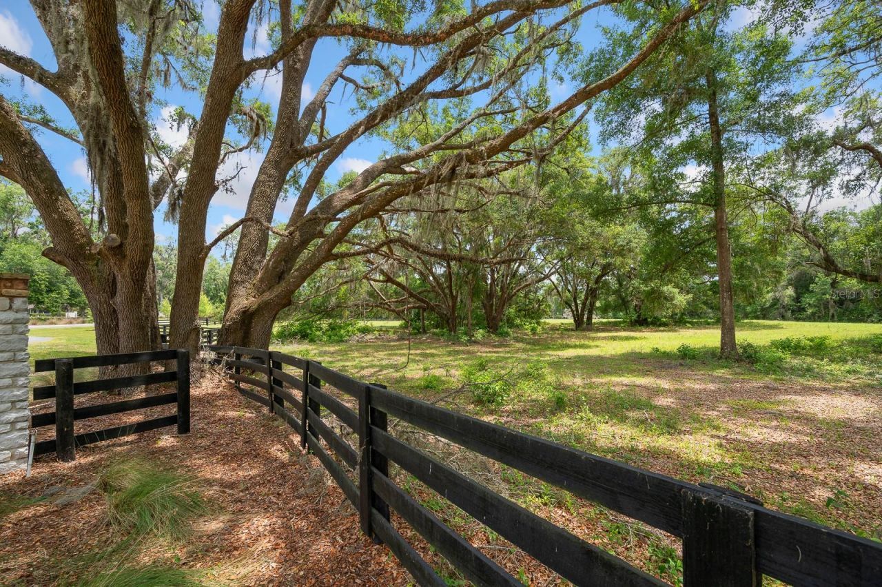 241, Newberry, FL 32669 Photo