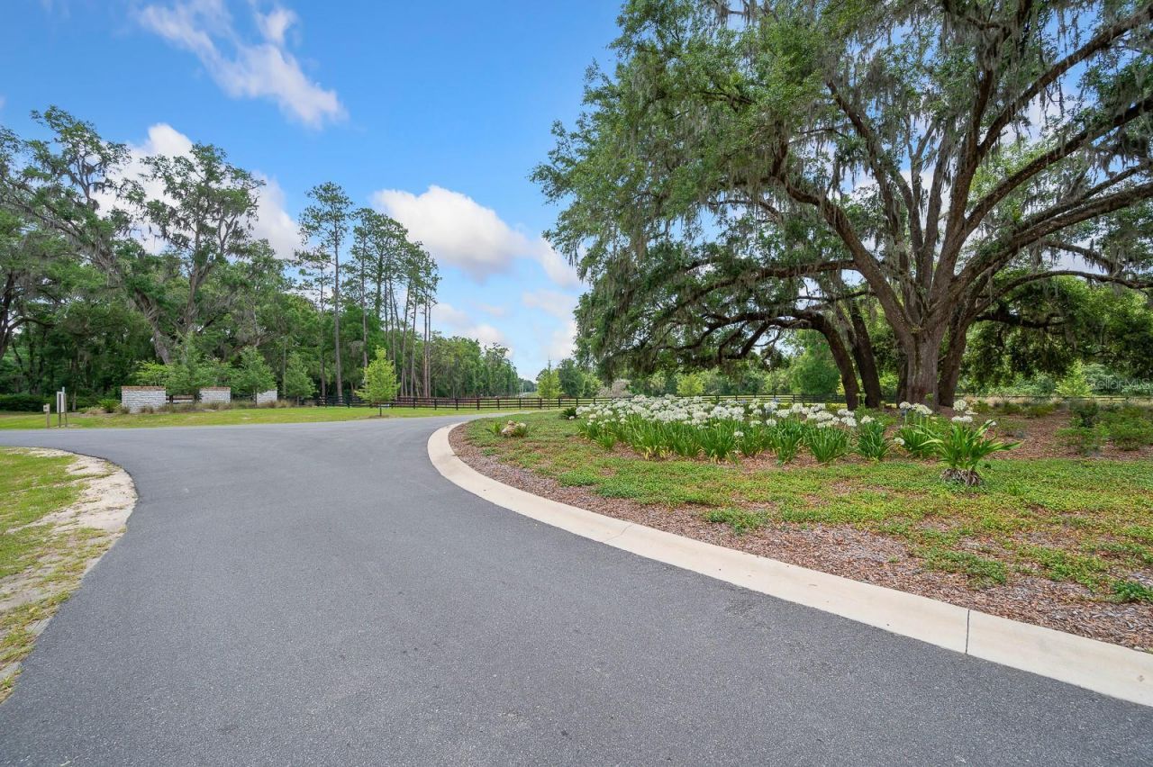 241, Newberry, FL 32669 Photo