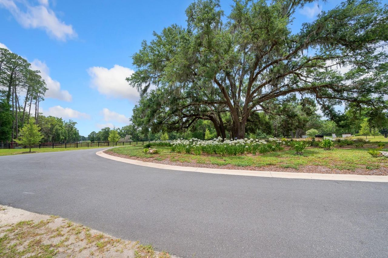 241, Newberry, FL 32669 Photo