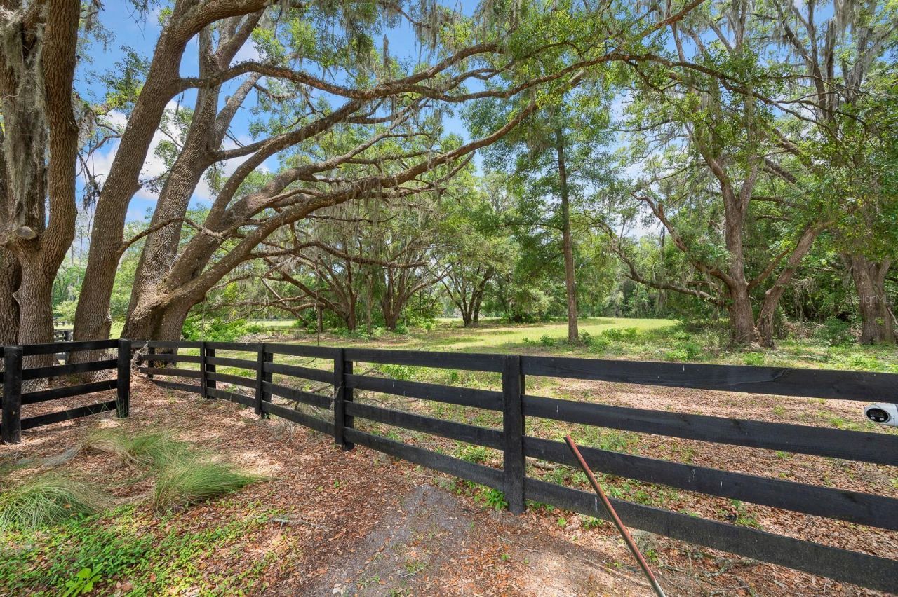 241, Newberry, FL 32669 Photo