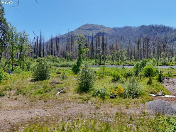 52958 MCKENZIE HWY, Blue River, OR 97413