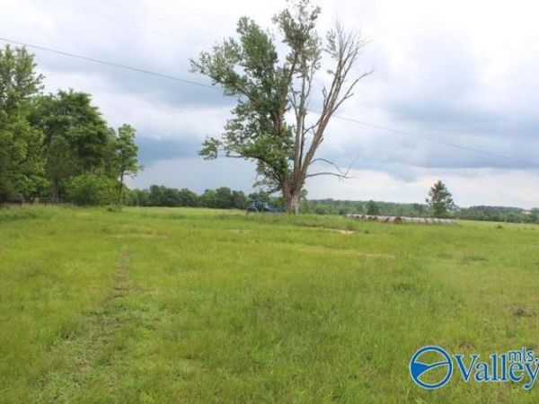 600 County Road 550, Grove Oak, AL 35975