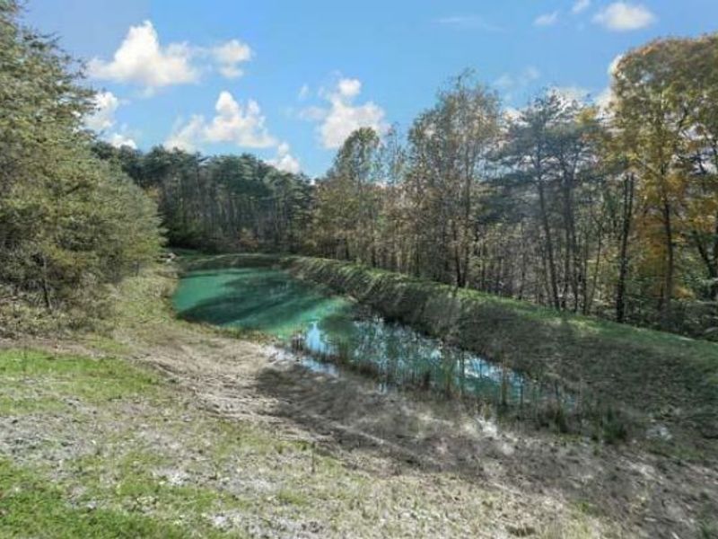 29002 Rockstull Road, Sugar Grove, OH 43155 Photo 27