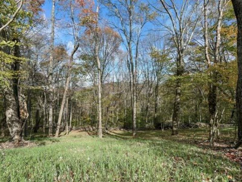 29002 Rockstull Road, Sugar Grove, OH 43155 Photo 28