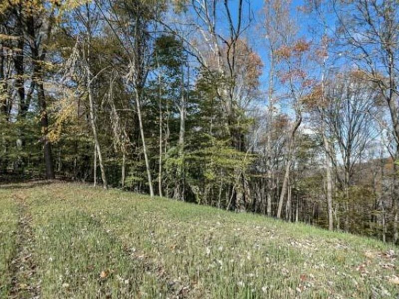 29002 Rockstull Road, Sugar Grove, OH 43155 Photo 29