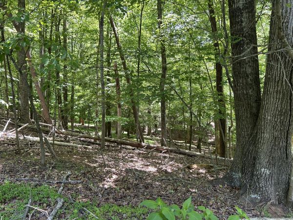Lot 40 Old Mill DR, Hardy, VA 24101