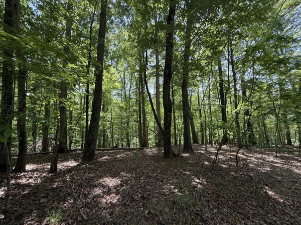 Lot 53 Hickory Woods LN, Hardy, VA 24101