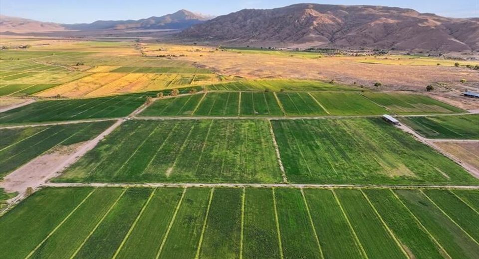 2673 Nv-208 Highway, Smith Valley, NV 89444 Photo