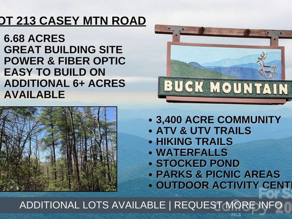 TBD Casey Mountain Road, Purlear, NC 28665